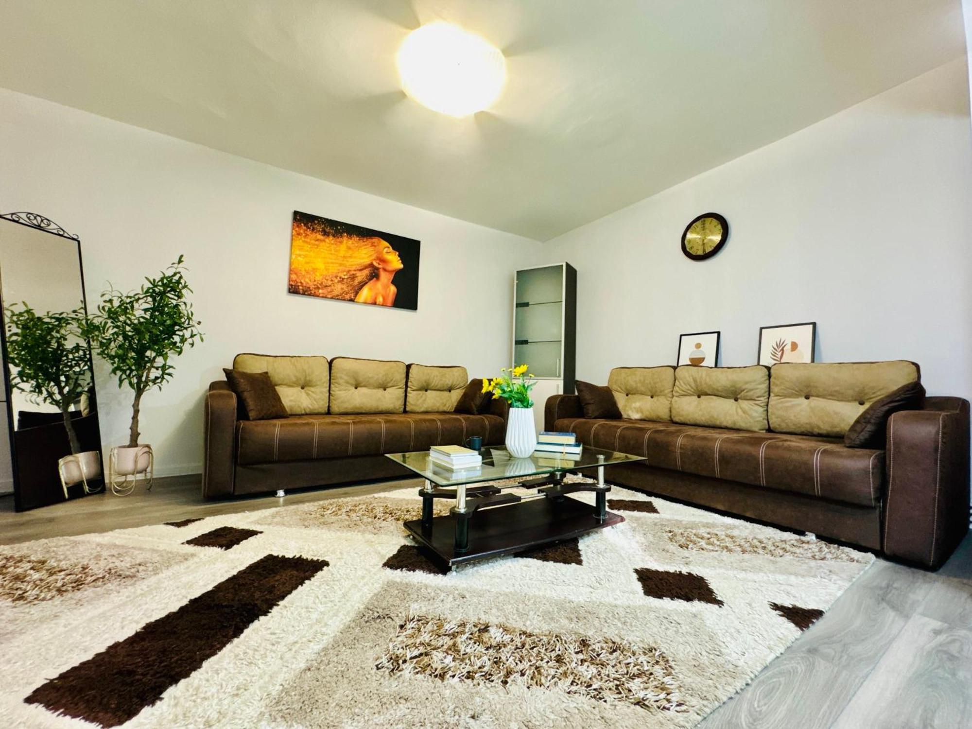 Joy City Stay Spacious Comfortable Timisoara Luaran gambar