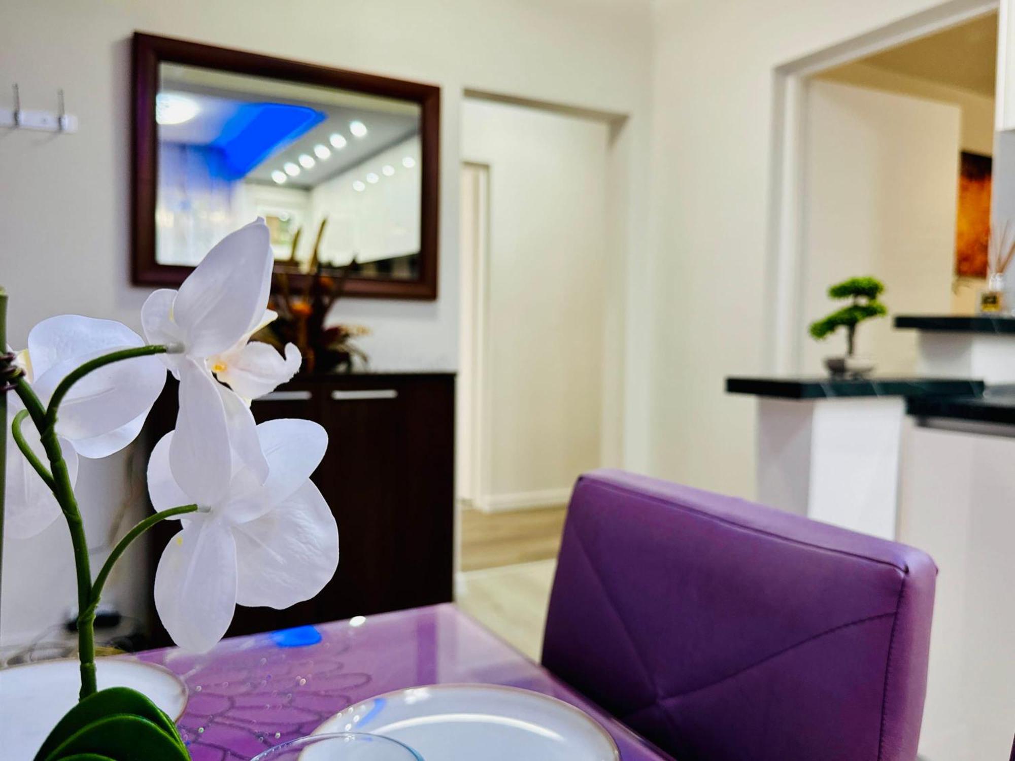 Joy City Stay Spacious Comfortable Timisoara Luaran gambar